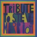 V.A./TRIBUTE TO STEVE MARRIOTT 【7inch】 SPAIN MARIOTT