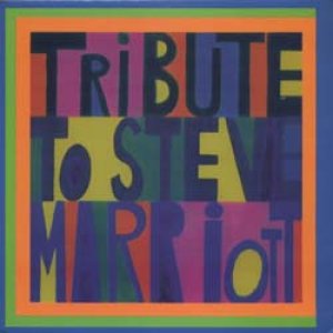 画像1: V.A./TRIBUTE TO STEVE MARRIOTT 【7inch】 SPAIN MARIOTT