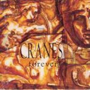 CRANES/FOREVER 【CD】 US盤 RCA/DEDICATED ピクチャー・ディスク