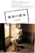 薬指の標本 【DVD】 ディアーヌ・ベルトラン 2004年  オルガ・キュリレンコ マルク・バルベ 原作：小川洋子 音楽：ベス・ギボンズ スペシャル限定仕様版