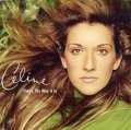 CELINE DION / THAT'S THE WAY IT IS 【12inch】 イタリア盤