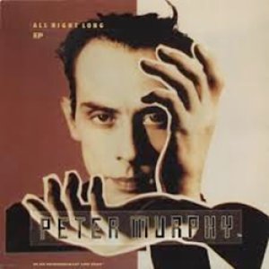 ピーター・マーフィー：PETER MURPHY / ALL NIGHT LONG 【12inch】 UK ORG.