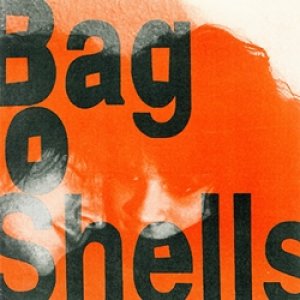 画像1: BAG O SHELLS / POCKETBOOK + 2 【7inch】 US盤 BUS STOP　VELVET CRUSH