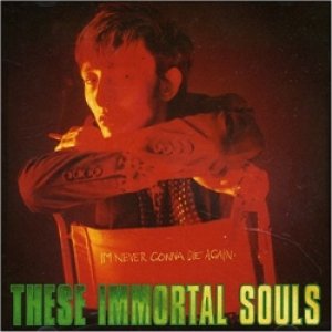 画像1: THESE IMMORTAL SOULS / I'M NEVER GONNA DIE AGAIN 【CD】 US盤 MUTE ORG.