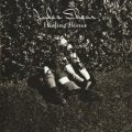 JULES SHEAR / HEALING BONES 【CD】 US盤　ISLAND ORG.