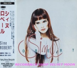 ロベール：ROBERT / シィヌ：SINE 【CD】 日本盤 帯付 廃盤