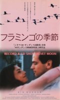フラミンゴの季節 【VHS】シーロ・カペラッリ 1998年 アンヘラ・モリーナ ダニエル・クスニエスカ