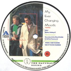 ザ・スタイル・カウンシル：THE STYLE COUNCIL / MY EVER CHANGING MOODS 【12inch】 UK盤 POLYDOR