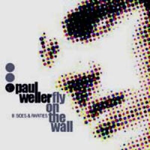 ポール・ウェラー：PAUL WELLER/FLY ON THE WALL B-SIDES & RARITIES 1991-2000 【3CD】 新品 LTD. BOX