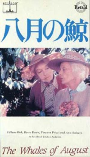 八月の鯨 【VHS】 1987年 リンゼイ・アンダーソン リリアン・ギッシュ ベティ・デイヴィス