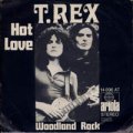 T.REX/HOT LOVE 【7inch】 GERMANY ARIOLA