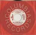 THE MILLENNIUM/THERE IS NOTHING MORE TO SAY・TO CLAUDIA ON THURSDAY 【7inch】 US COLUMBIA PROMO.