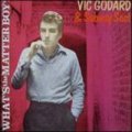 VIC GODARD & SUBWAY SECT / WHAT'S THE MATTER BOY? 【CD】 UK盤