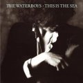 THE WATERBOYS/THIS IS THE SEA 【CD】 ドイツ盤 ISLAND