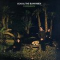 ECHO & THE BUNNYMEN / EVERGREEN 【CD】 US盤