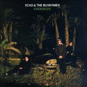 エコー＆ザ・バニーメン：ECHO & THE BUNNYMEN / EVERGREEN 【CD】 US盤