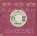 SUZANNE VEGA / LUKA 【7inch】 US A&M