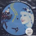 VOICE OF THE BEEHIVE/DON'T CALL ME BABY 【7inch】 UK LONDON LTD.PICTURE DISC ORG.