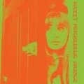 V.A. / SWEET PSYCHEDELIC ORANGE 【CD】 Vostok Sound Organization