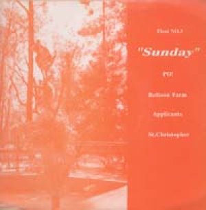 V.A. / SUNDAY 【FLEXI】 US SUNDAY