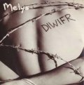 MELYS/DIWIFR 【7inch】 UK ANKST