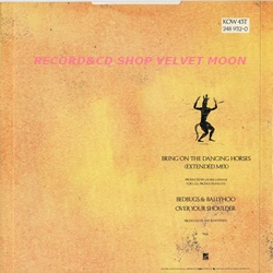 Record&CD Shop VELVET MOON