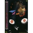 ジェーン・バーキン in ヴェルヴェットの森 【DVD】 アンソニー・M・ドーソン 1973年 ジェーン・バーキン ハイラム・ケラー セルジュ・ゲンスブール 解説書付 イタリア映画