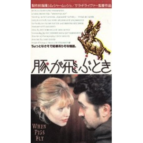 豚が飛ぶとき 【VHS】 サラ・ドライヴァー 1993年 マリアンヌ・フェイスフル レイチェル・ベラ 音楽ジョー・ストラマー