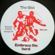 ザ・ジスト：THE GIST / EMBRACE THE HERD 【LP】 UK盤 ORG. ROUGH TRADE
