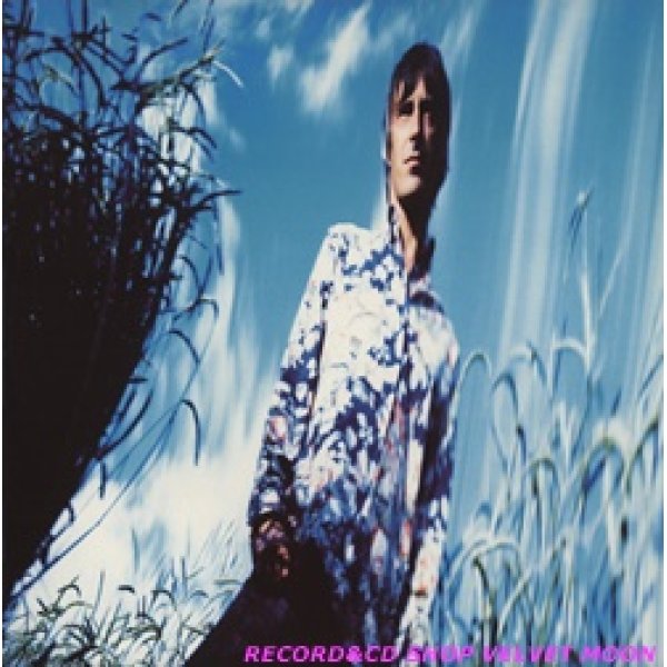 ポール・ウェラー：PAUL WELLER ‎/ WILD WOOD 【12inch】 UK ISLAND ORG.