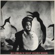 エコー&ザ・バニーメン：ECHO & THE BUNNYMEN / SEVEN SEAS + 4  (PENGUIN PICTURE SLEEVE) 【12inch】MAXI UK盤 ORG. KOROVA