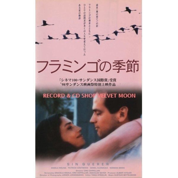 フラミンゴの季節 【VHS】シーロ・カペラッリ 1998年 アンヘラ・モリーナ ダニエル・クスニエスカ