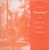 画像: V.A. / SUNDAY 【FLEXI】 US盤 SUNDAY