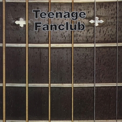 TEENAGE FANCLUB / WHAT YOU DO TO ME + 3 【12inch】 UK ORG. CREATION ポスター付