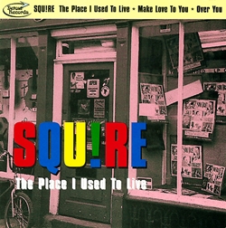 画像1: SQUIRE / THE PLACE I USED TO LIVE + 2 【7inch】 UK DETOUR (1)