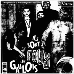 画像1: V.A. / ILS SONT FOUS CES GAULOIS　VOLUME 3 【LP】 フランス盤 ORG. (1)