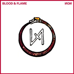 画像1: NON / BLOOD & FLAME 【LP】 UK MUTE ORG. (1)