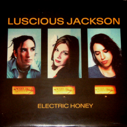 画像1: LUSCIOUS JACKSON / ELECTRIC HONEY 【LP】 US盤 GRAND ROYAL ORG. 新品 (1)