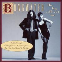 画像1: BONGWATER/THE BIG SELL-OUT 【CD】 US SHIMMY DISC (1)