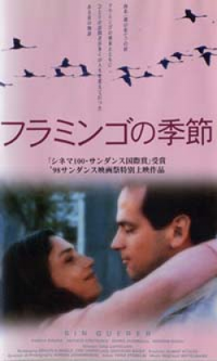 フラミンゴの季節 【VHS】 1998年 シーロ・カペラッリ アンヘラ・モリーナ ダニエル・クスニエスカ