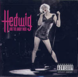 HEDWIG AND THE ANGRY INCH　ヘドウィグ　CD